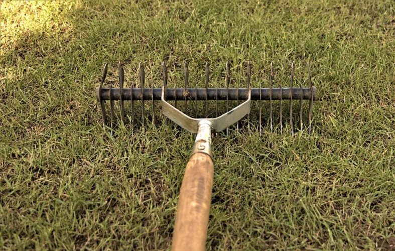 The Best Rakes that will benefit your garden and lawn