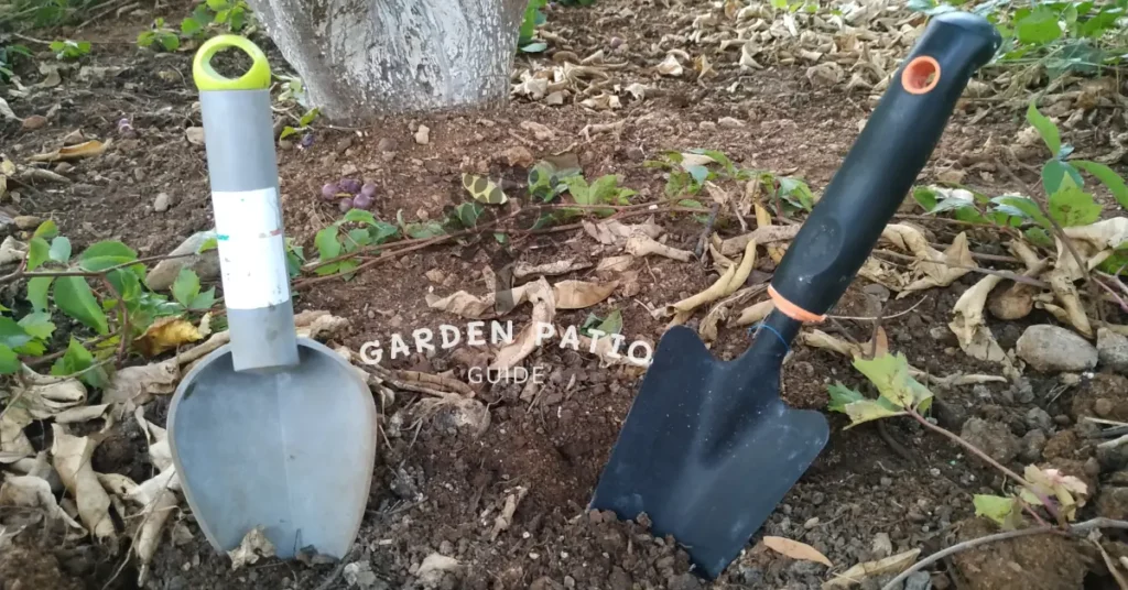 2 garden trowels under an orange tree - Garden Trowel Uses How to use a garden trowel